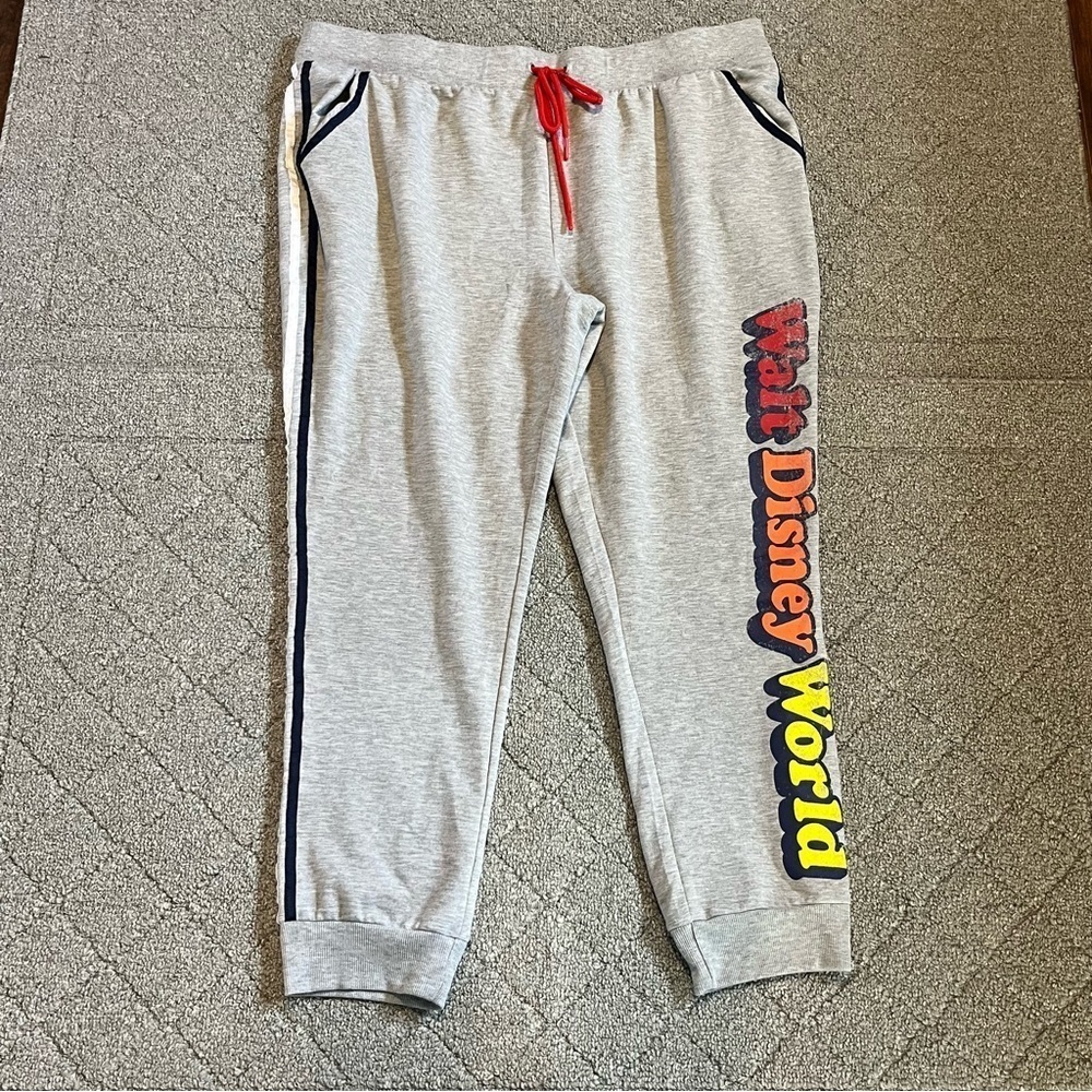 Walt Disney World Joggers Womens Size 1X Gray Sweatpants Drawstring Pockets